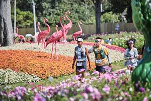 BIB: 
                            <button type="button" onclick="openModal(27794378)" class="btn btn-primary btn-sm float-right btn-popup" data-toggle="modal" data-target=".modal-high-quality">
                        <i class="fas fa-shopping-cart"></i> Add to Cart
                    </button>
                                            <button type="button" onclick="isThisMe(27794378, true)" class="btn btn-success btn-sm float-right btn-popup btn-isme hidden" data-toggle="tooltip" data-placement="bottom" title="นี่คือรูปของคุณใช่ไหม คลิกที่นี่เพื่อเอาเข้าอัลบั้ม">
                        <i class="fas fa-plus"></i> Add to album
                    </button>
                    <button type="button" onclick="isThisMe(27794378, false)" class="btn btn-warning btn-sm float-right btn-popup btn-isnotme hidden">
                        <i class="fas fa-ban"></i> Remove from album
                    </button>